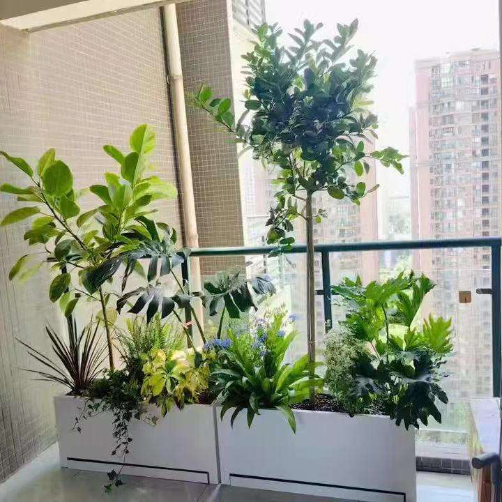 不锈钢花盆养花好不好