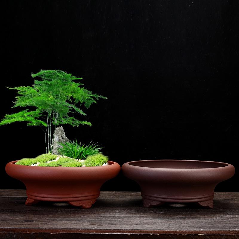 圆形花盆图片大全图片