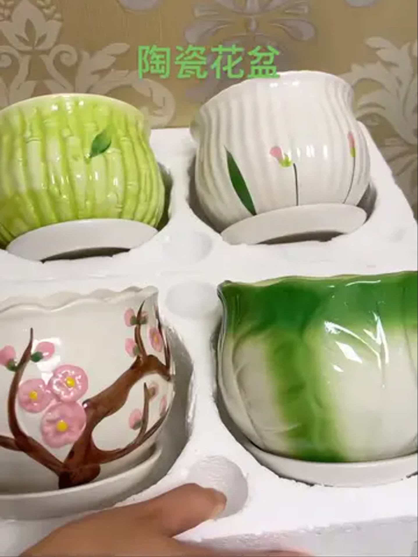 多肉为什么不能用瓷盆
