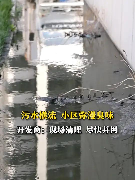 小区污水井堵了找哪个部门