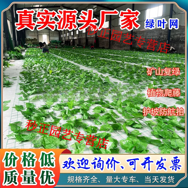 边坡防护网多少钱一平方照片