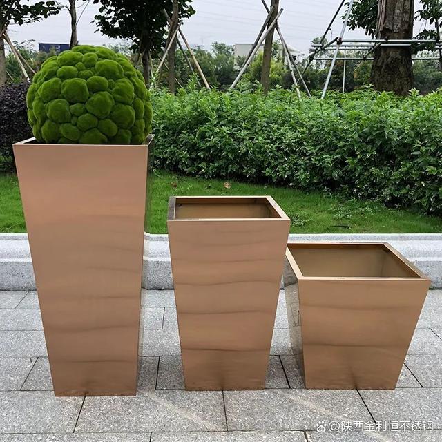 不锈钢或者铁容器可以种花吗