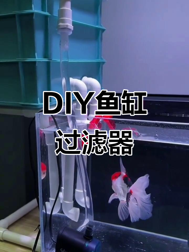 小鱼缸怎么做过滤器会最好效果