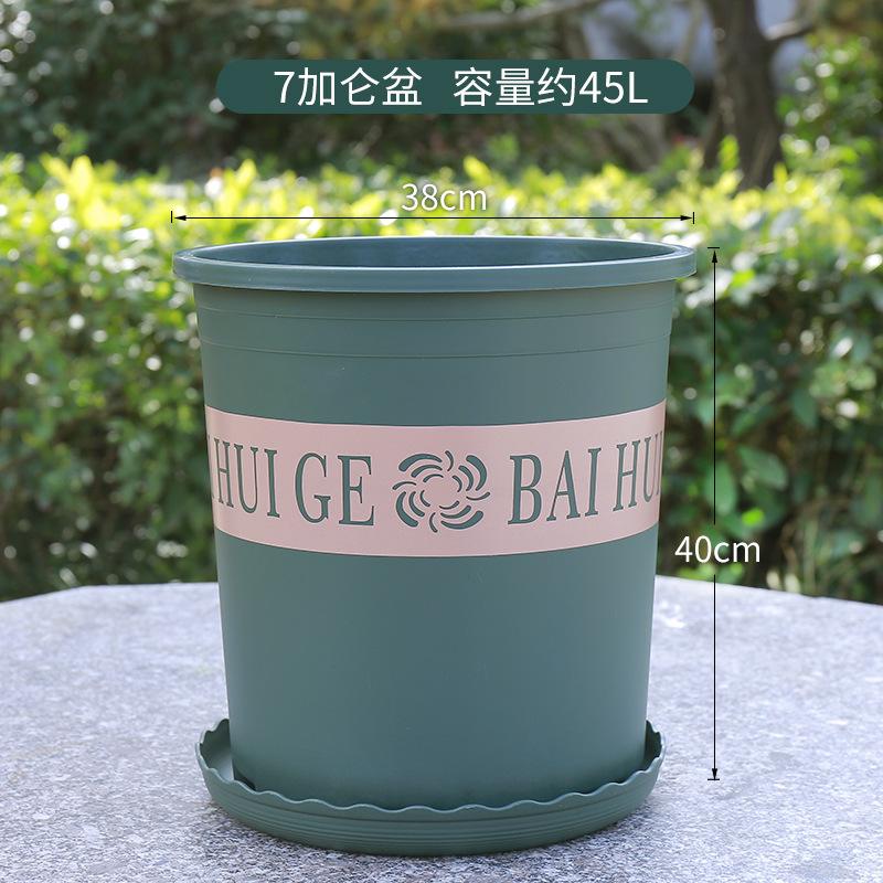 花盆大全100种价格表
