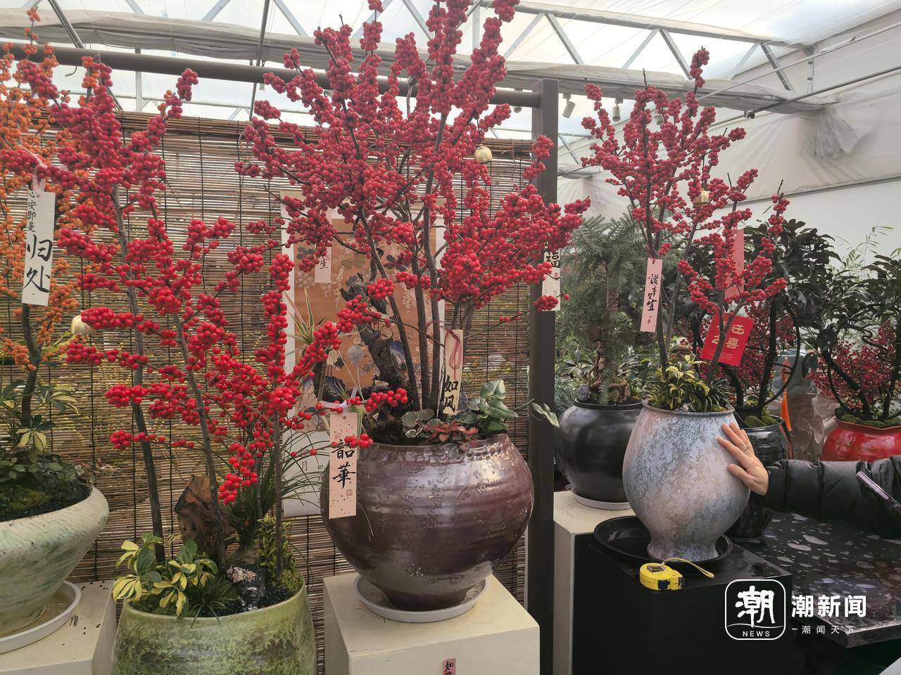 杭州花盆批发市场在哪里进货