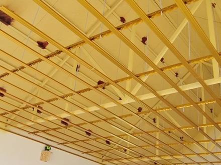 轻钢龙骨隔墙吊顶工程设计施工及验收规程