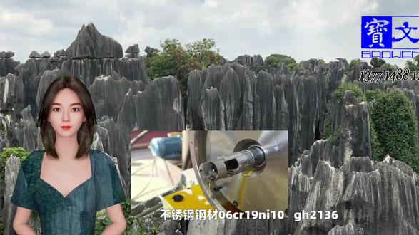 06cr19ni10是304还是316,316的是什么