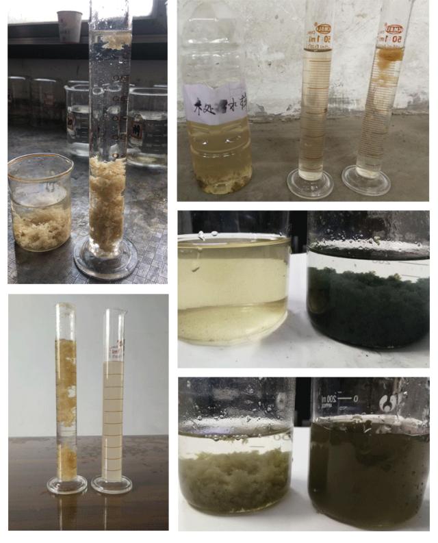 水玻璃价格多少钱一吨6月