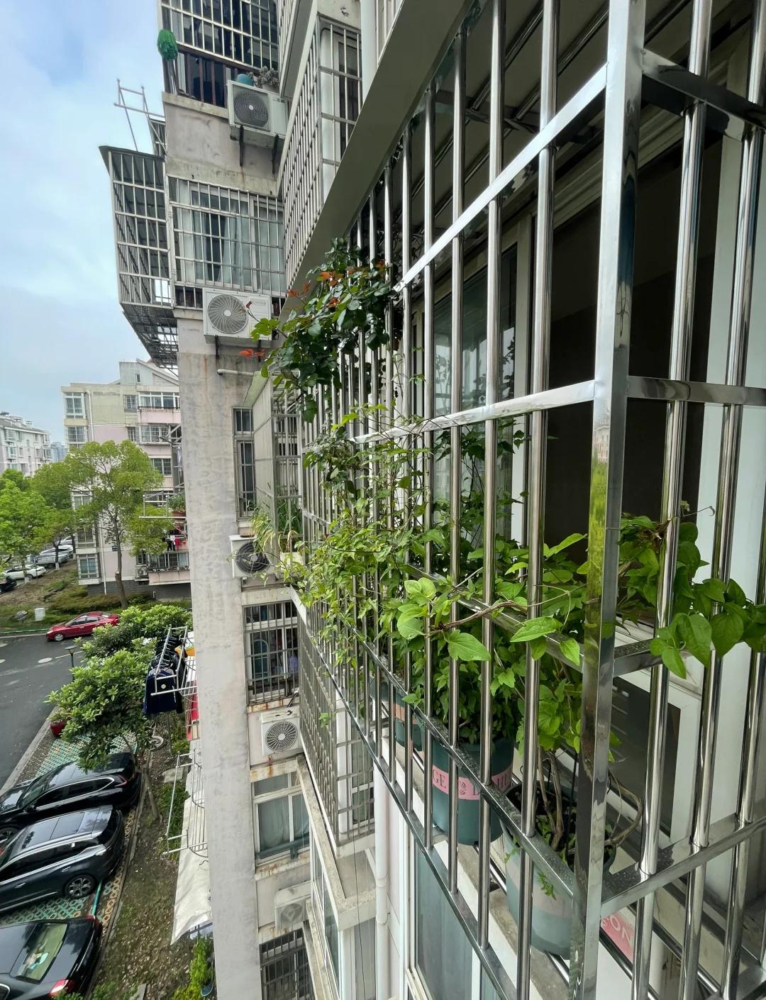 不锈钢防盗网可以用钢丝球刷吗