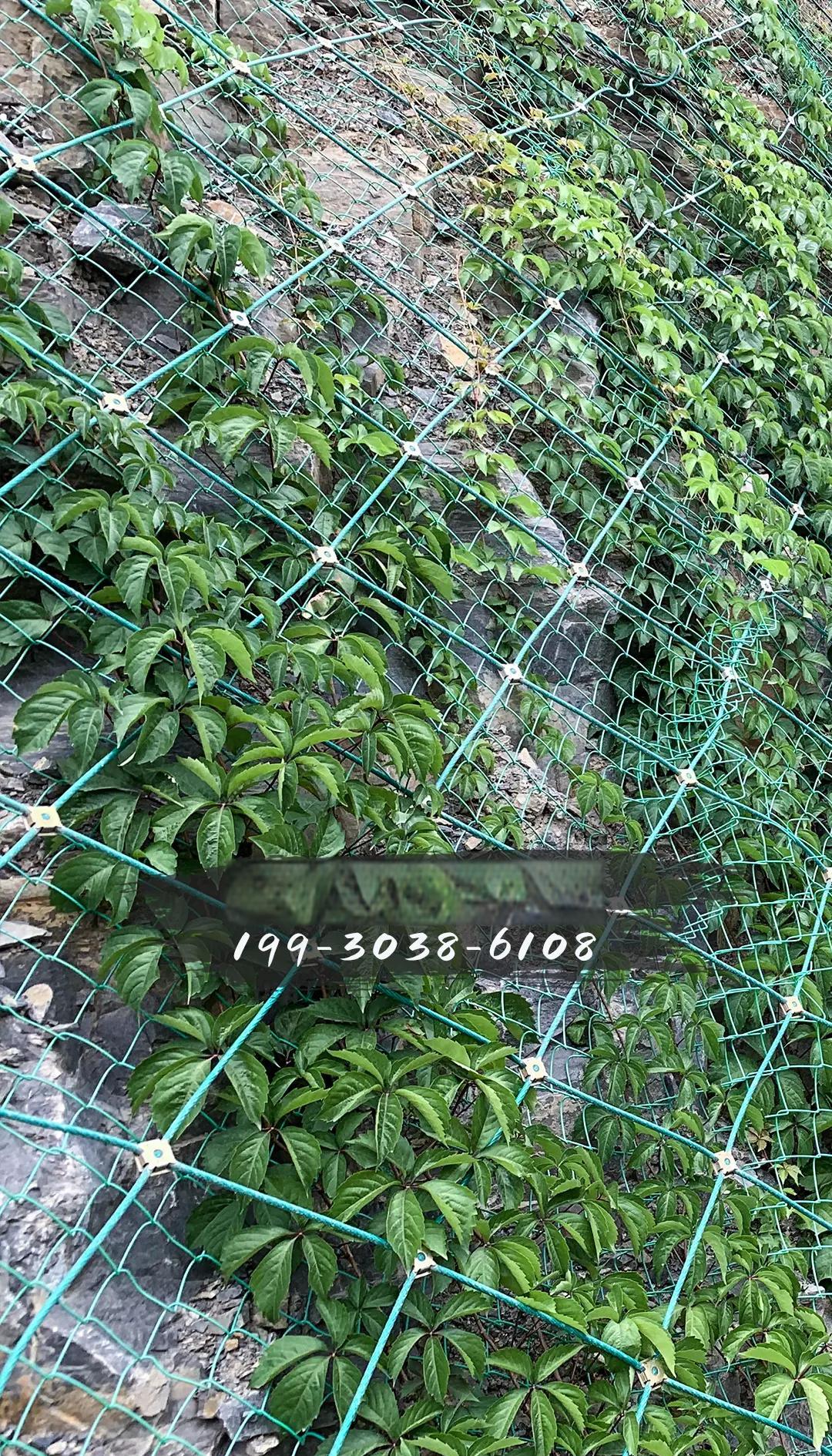山坡防护网含安装多少钱一平方