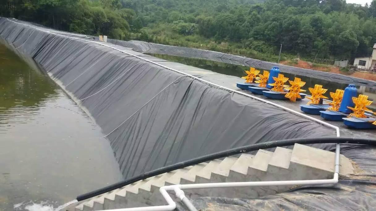 水池防渗膜和防水布哪个好用