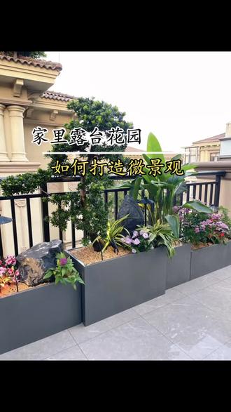 阳台花盆的款式大全不锈钢图片