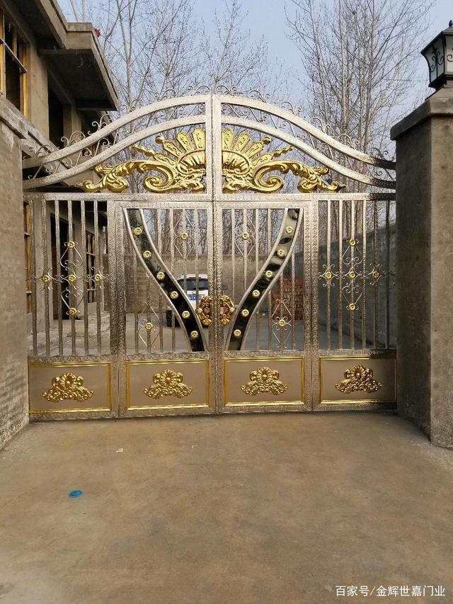 简单不锈钢院子大门图片大全 双开