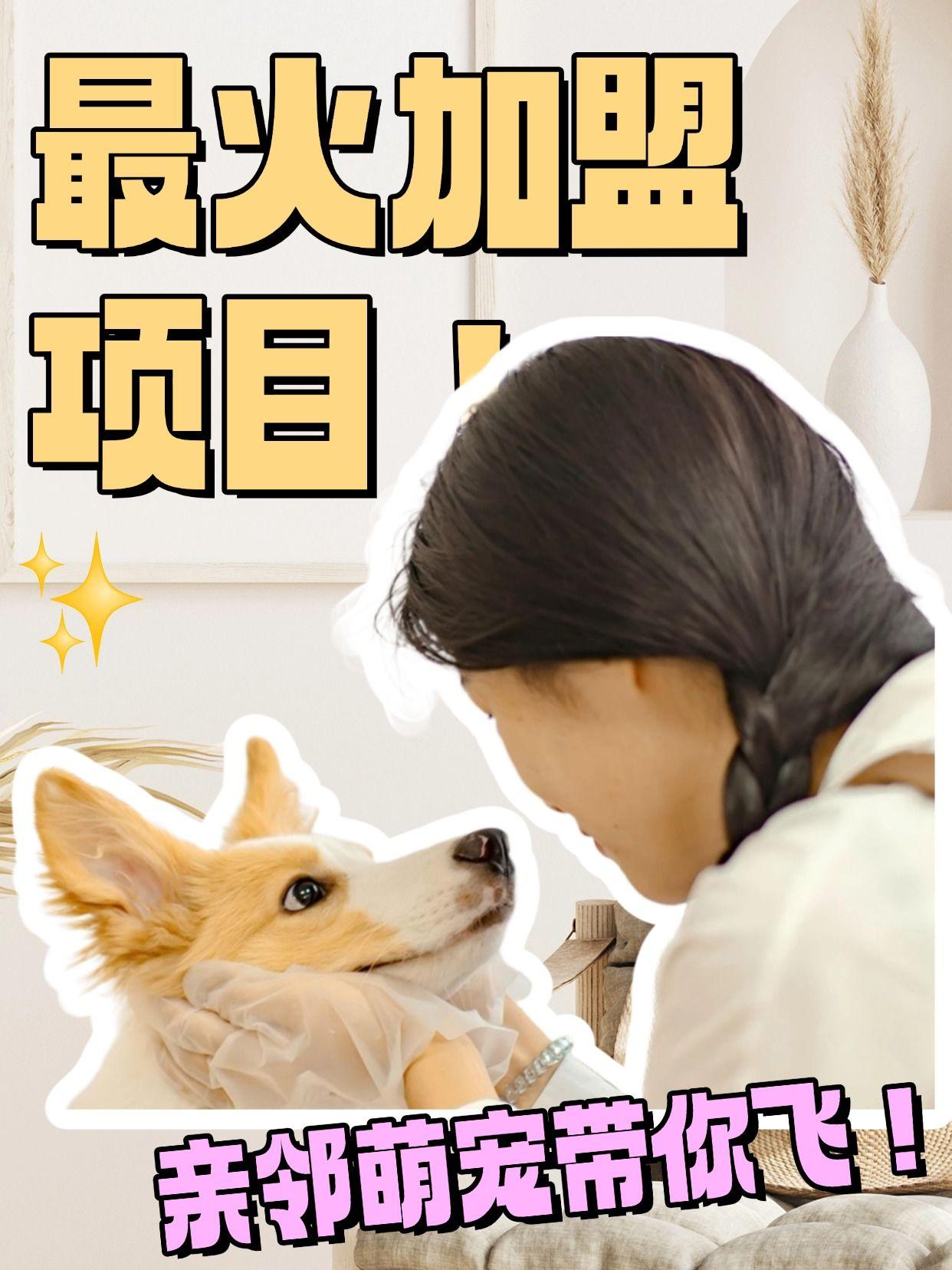2024创业加盟小项目有哪些