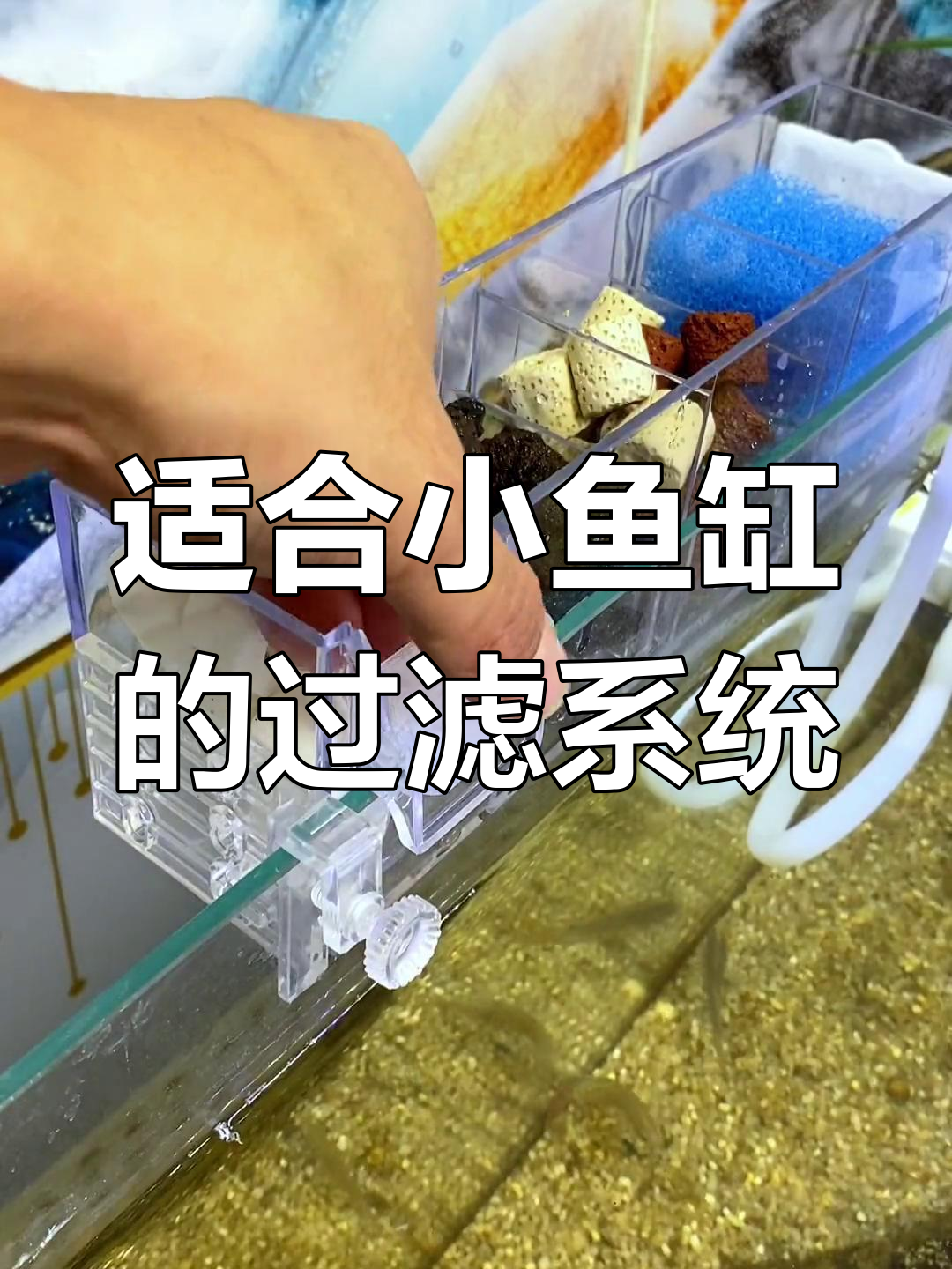 2025小鱼缸过滤材料摆放顺序图片