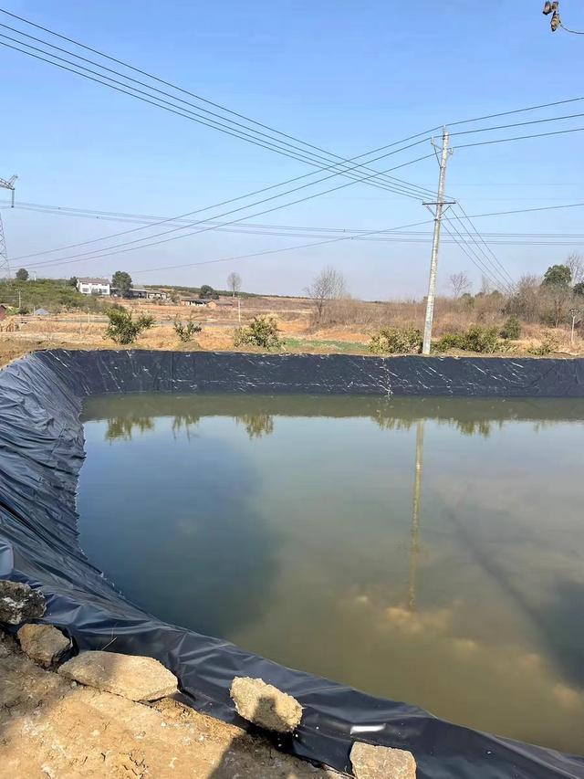2025蓄水池最简单防水视频教程