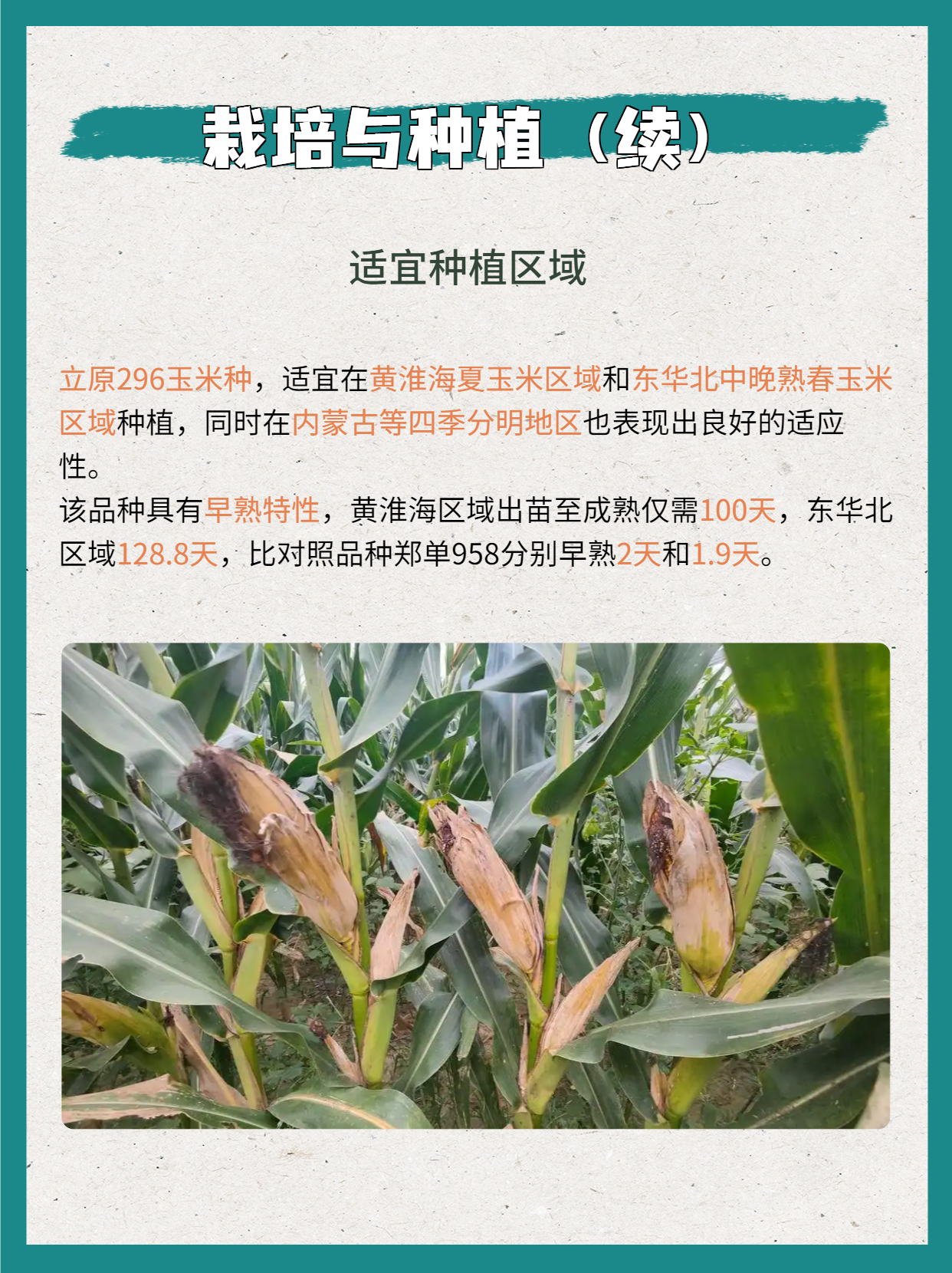 2025gb150662004是食品级么