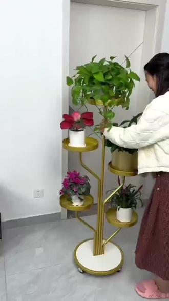 阳台不锈钢花架的款式大全