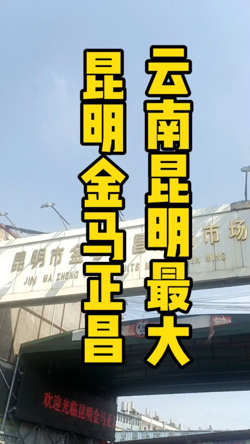 昆明最大的门业批发市场地址2025近期排名前十名分析
