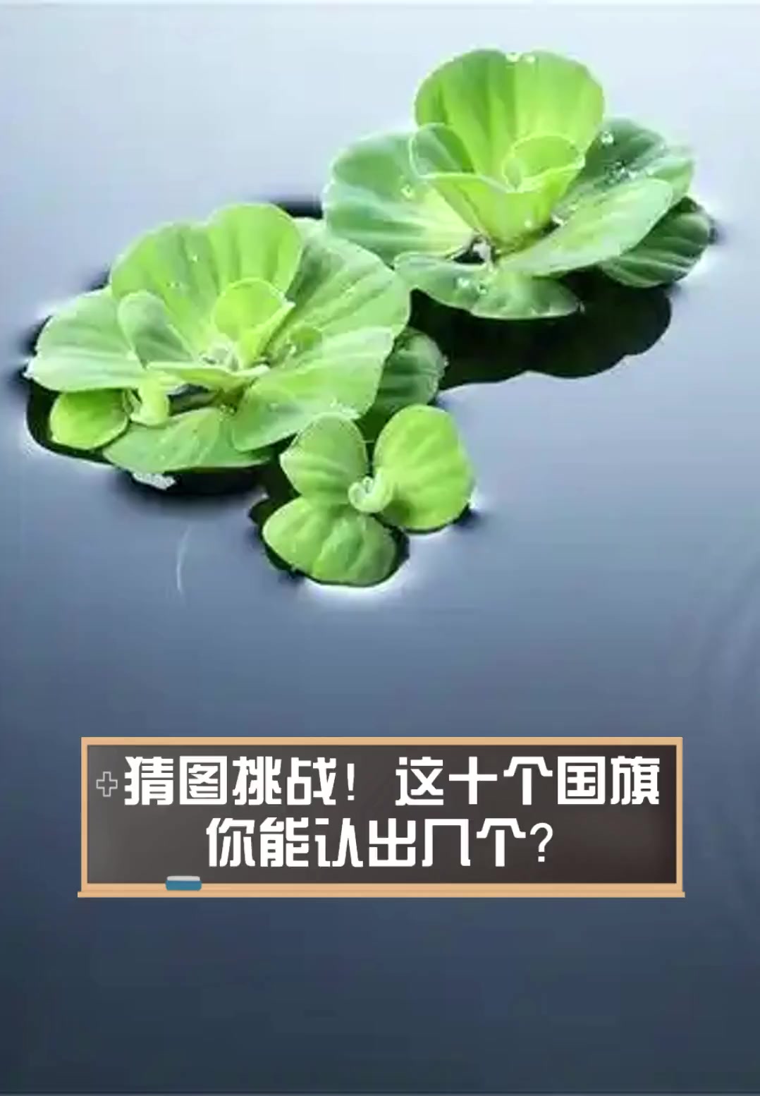 2025年7月5日 第71页