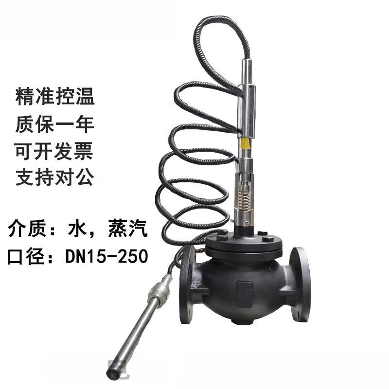 zzwpe自力式电控温度调节阀