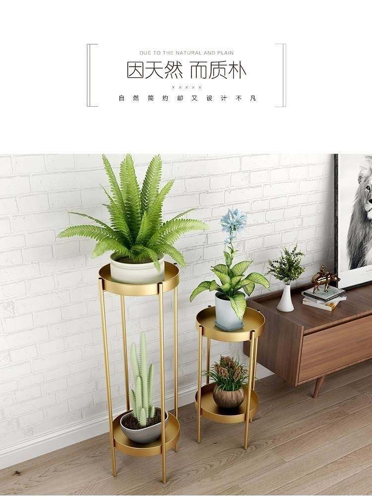 室内花盆摆放造型图片大全