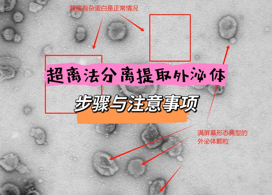 离心机的使用方法步骤视频