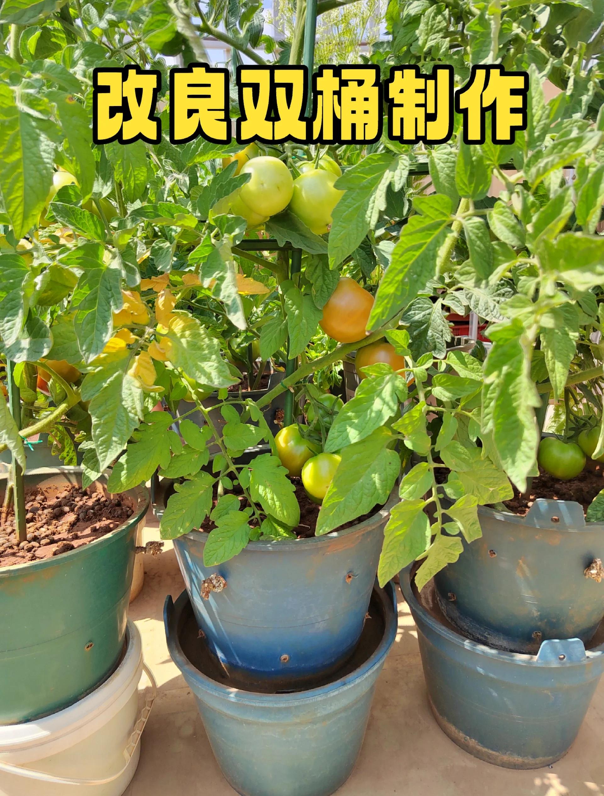 自制菜盆100种做法视频
