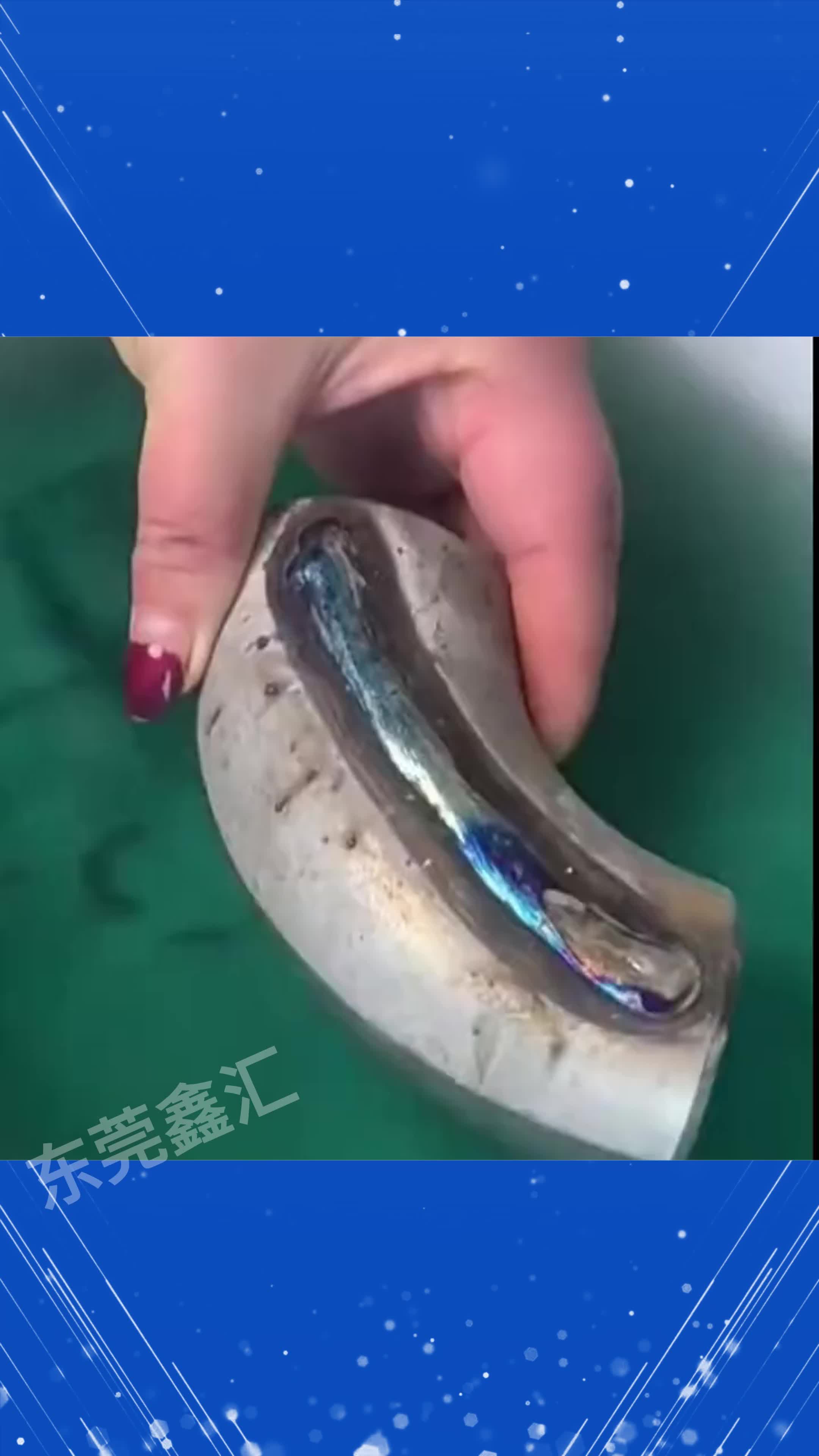 不锈钢焊出来发黑是什么原因