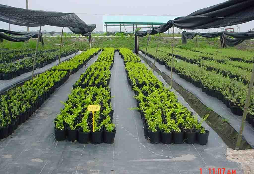 防草布多少钱一平方米安装