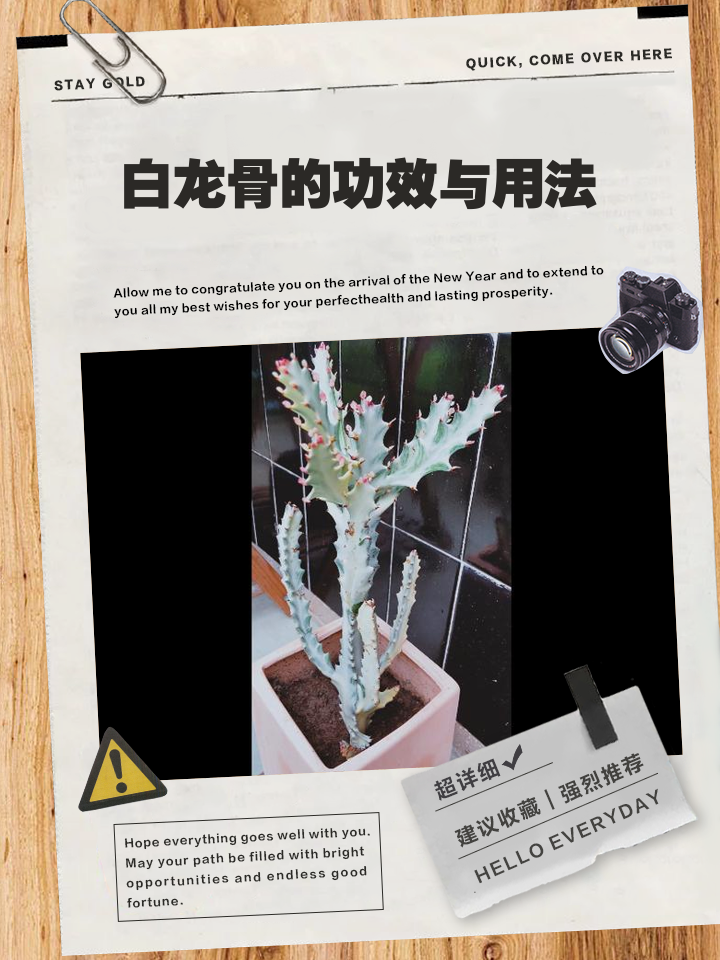龙骨有没有毒,毒该咋处理