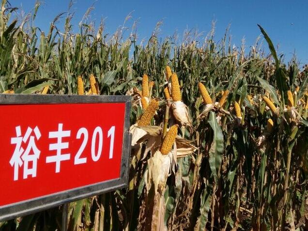 201又分为哪些种类呢