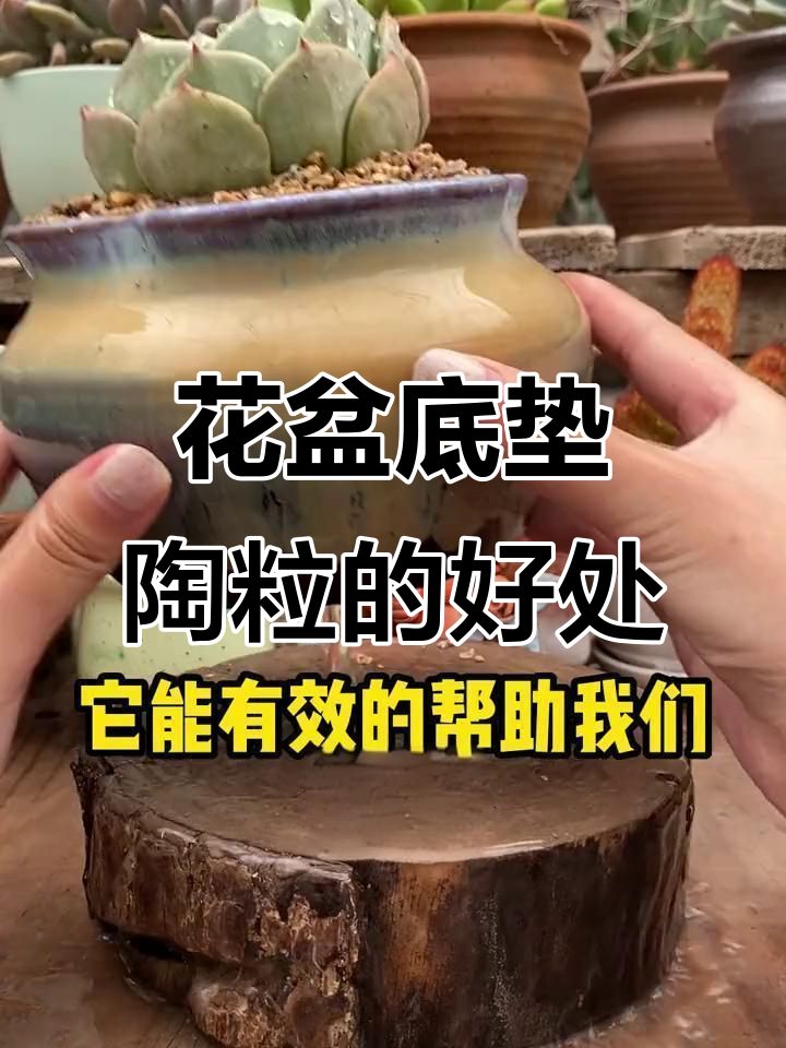 花盆底部用什么垫底最好