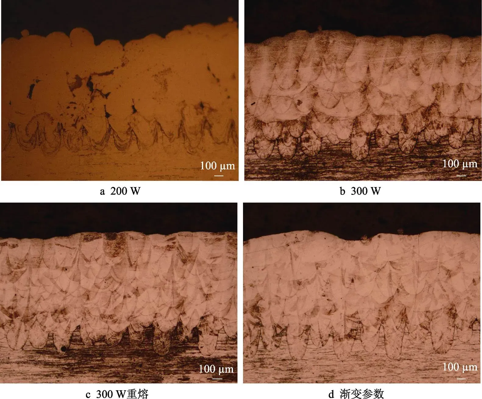 316l对人体长期的损害是多少