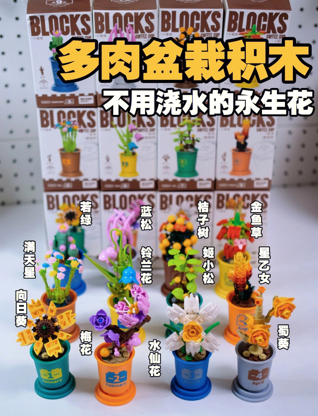 花盆的底部没有洞可以用吗?