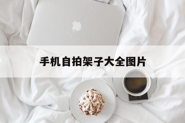 手机自拍架子价格大全图片